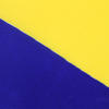 Hot Sale Custom Flag Wholesale Barbados Polyester Flag