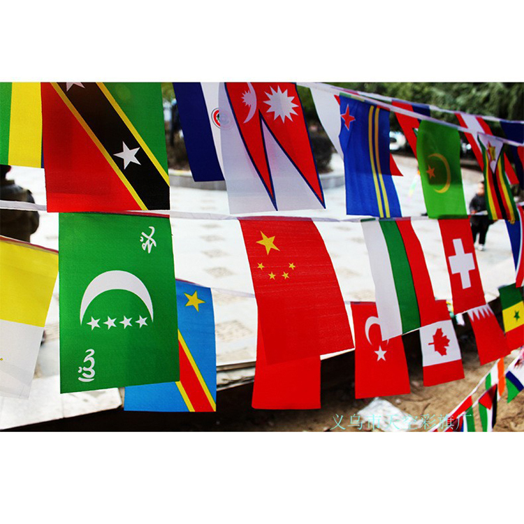 Mini Coloured Pennant Flag Bunting Party String Bunting Banners Flags