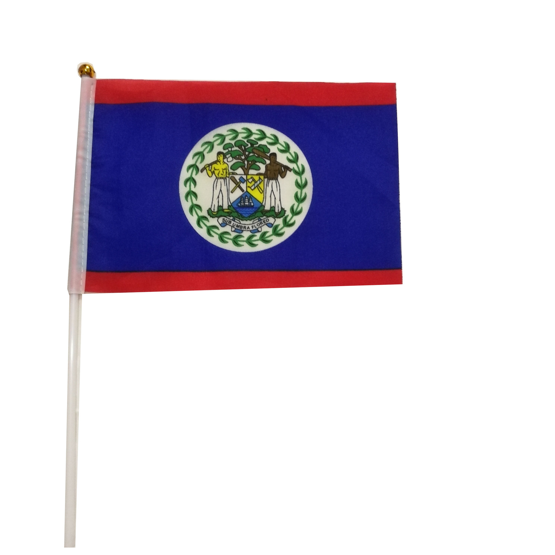 Customs High Quality Flag All Countries Flag Belize National Flag