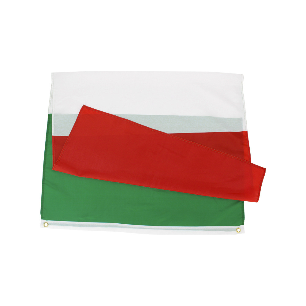 Factory Direct Fade Resistant Polyester Green White Red flags Italian Flag
