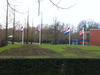 Wind-resistant  20ft Telescoping Flagpole Steel Flagpole with Ball Topper