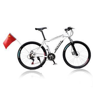 Popular High Quality Custom Bicycle Flags