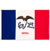 U.S. Federal State Flag Iowa State Flag Outdoor Flag 3_5 Feet