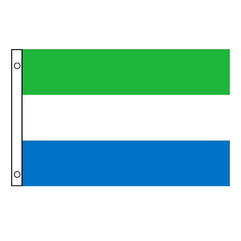 Custom Banner Flag Oem Digital Printing Polyester National Custom Country Flags