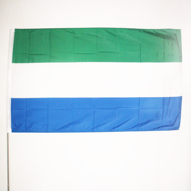 Custom Banner Flag Oem Digital Printing Polyester National Custom Country Flags
