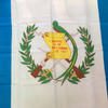 Wholesale 100% Polyester Printed Guatemalan Country Guatemala Flag
