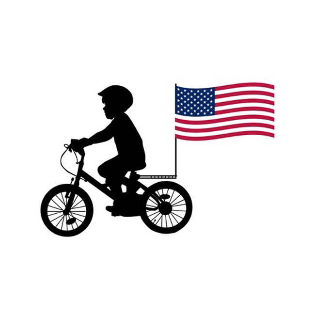 Bicycle Flag Pole Bracket Custom Bicycle Flag
