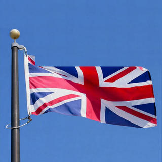 Custom Polymer Polyester Flag 3x5 Custom Logo Led Uk National Flag