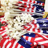 Sublaimation Car Theme Flag Pole 9ft Car Window American Flag