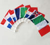 Sublaimation Car Theme Flag Pole 9ft Car Window American Flag